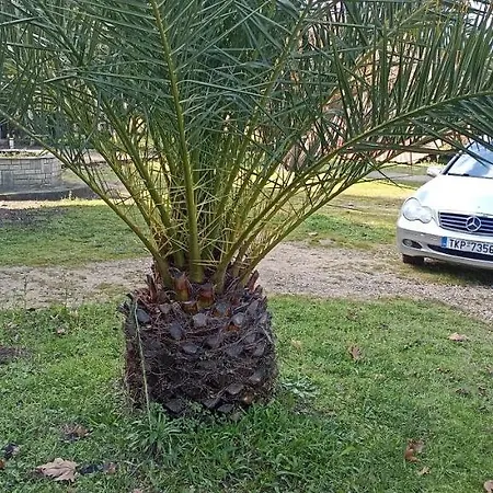 Semesterbostad Poseidon Room's Vourvourou