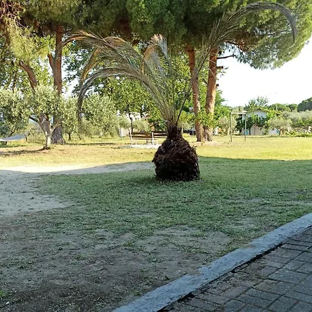 Casa vacanze Poseidon Room's *